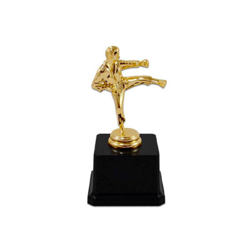 Karate Figürlü Ödül Kupası 77 - 1