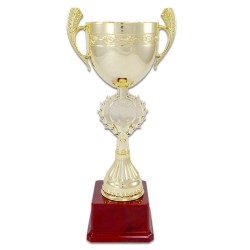 Digitronix - Ödül Kupası Altın KC2080
