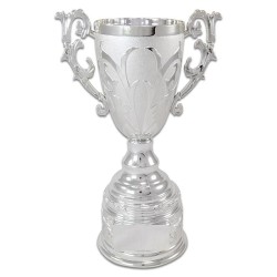 Digitronix - Ödül Kupası Gümüş KC2124B