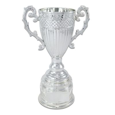 Ödül Kupası Gümüş KC2411CG - 1