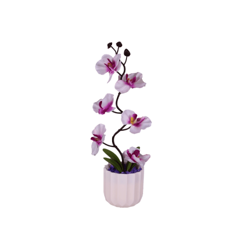 Orkide Saksılı Hediyelik Çiçek - 