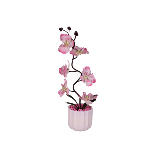 Orkide Saksılı Hediyelik Çiçek - (1)