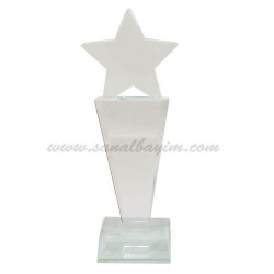 - Yıldızlı Vip Kristal Plaket 1010